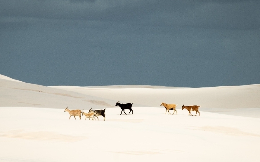 Fotografia de Leandro Reichert.