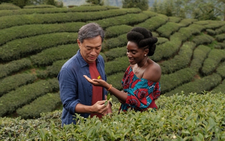 Still Black Tea